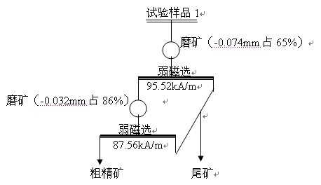製（zhì）取粗精（jīng）礦（kuàng）的試驗工藝流程