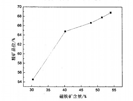磁鐵礦含量與精礦品位關係圖（tú）