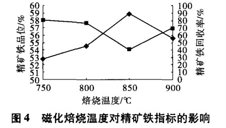 磁化焙燒（shāo）溫度對精礦鐵指標的（de）影響