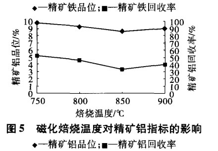 磁化焙燒溫度對精（jīng）礦鋁指（zhǐ）標的影響（xiǎng）